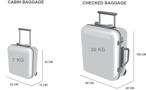 20 luggage size in cm